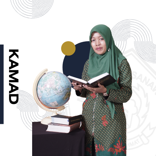 Image hover effect image